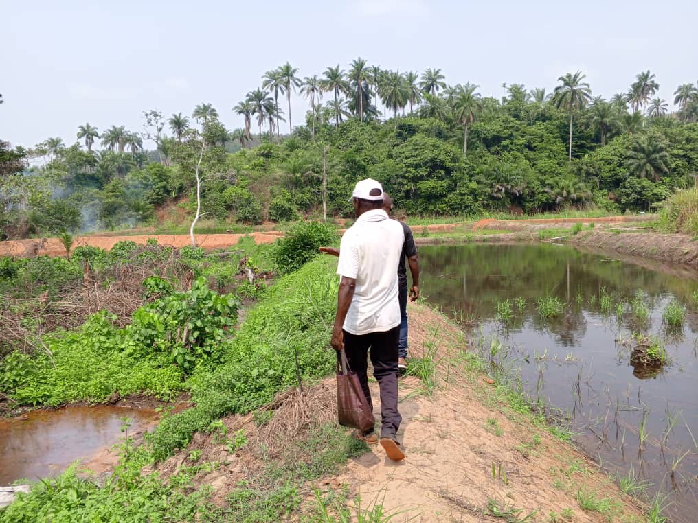 Pisciculture en étang communautaire et nutrition